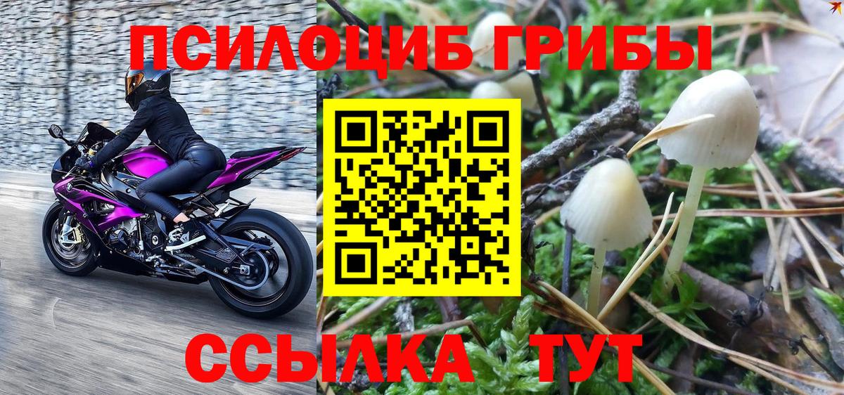 Галлюциногенные грибы Magic Shrooms  Псилоцибиновые грибы Magic Shrooms  Вход с VPN  Железноводск 
